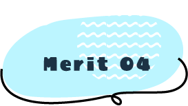 Merit 04